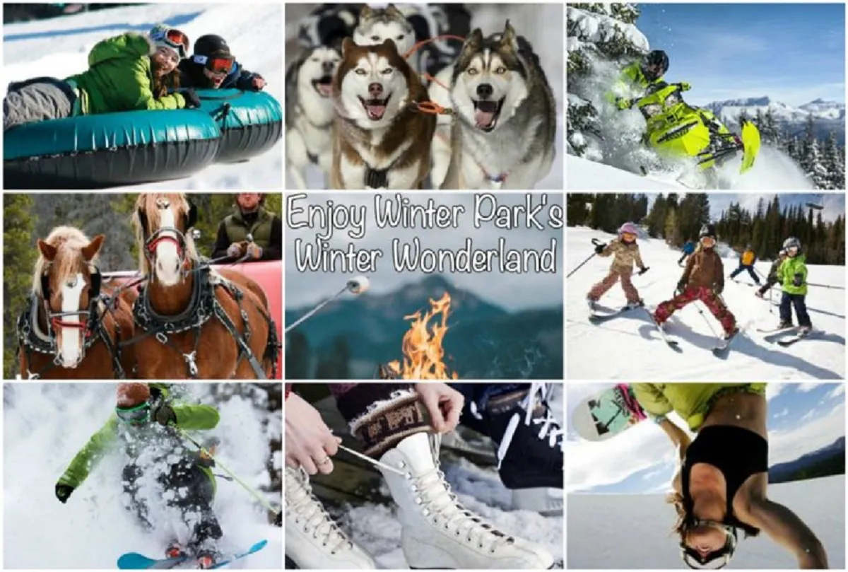 An energetic winter scene showing people tubing down snowy hills, Husky dogs ready for dog sledding, snowmobiles in action, children playing in the snow, and horse-drawn sleigh rides. The background features skiers and snowboarders enjoying the slopes, all set against a snowy landscape.