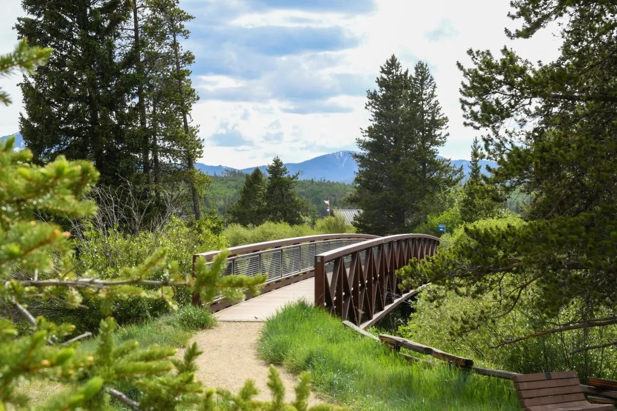 A peaceful wooden bridge spans a forested area with lush trees and a mountain backdrop, representing the serenity and accessibility of summer activities like hiking and biking right from the property.